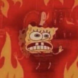 Meet your Posher, Brendan